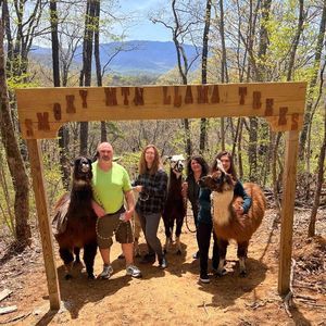 Meet your Posher, Janet